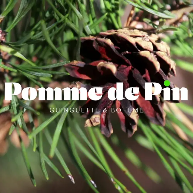 Bar Pomme de pin Hyères
