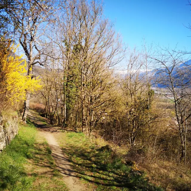 Les terrasses d'Ayze