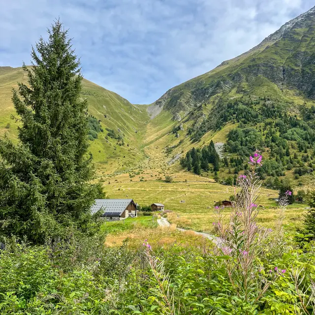 Le Col de Tricot au départ de la Gruvaz