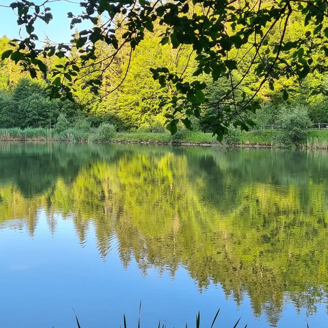 Pêche au lac de la Crossetaz_Habère-Lullin