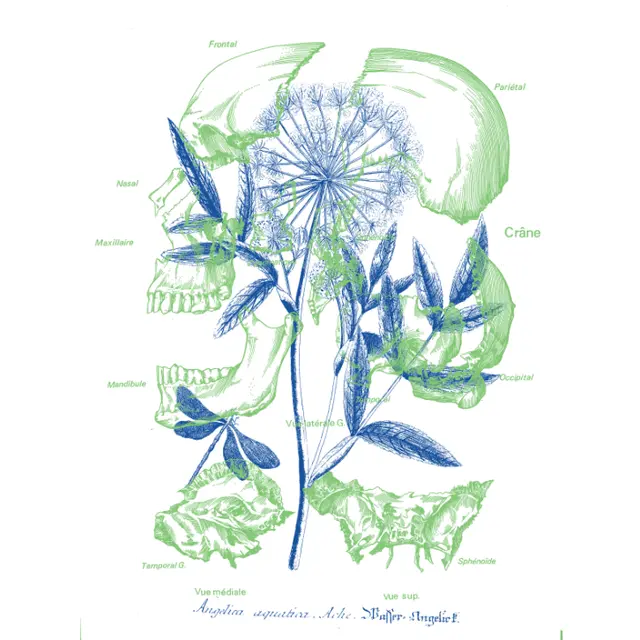 La Chute_Aix-en-Provence