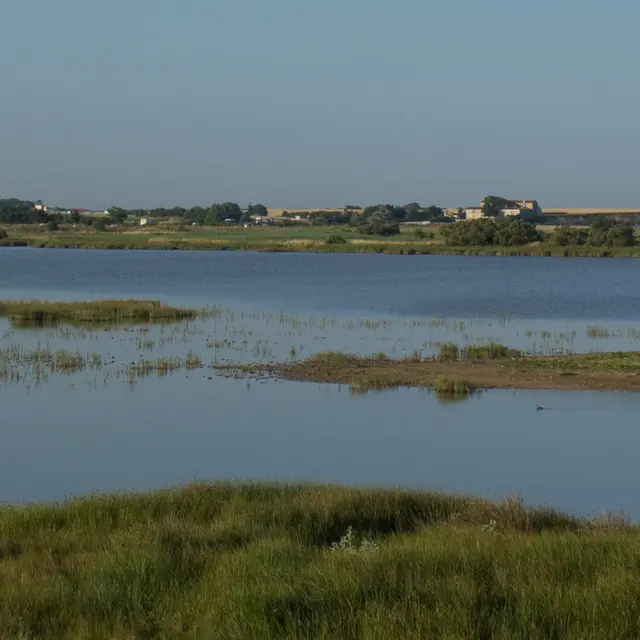 Paysage de la réserve