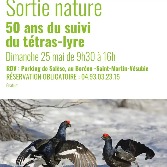 Sortie nature - 50 ans du suivi du tétras-lyre_Saint-Martin-Vésubie