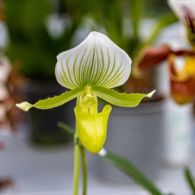 Groupes-Mer-nature-Eveil-des-sens