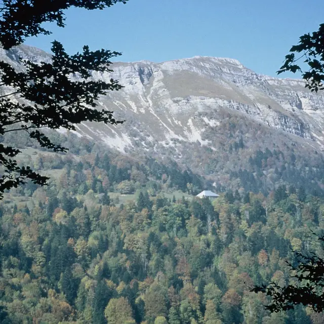 Animation nature: Lecture de paysage_Gex