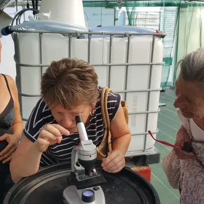 Visite de la ferme et dégustation : Spiruline de Ners_Ners