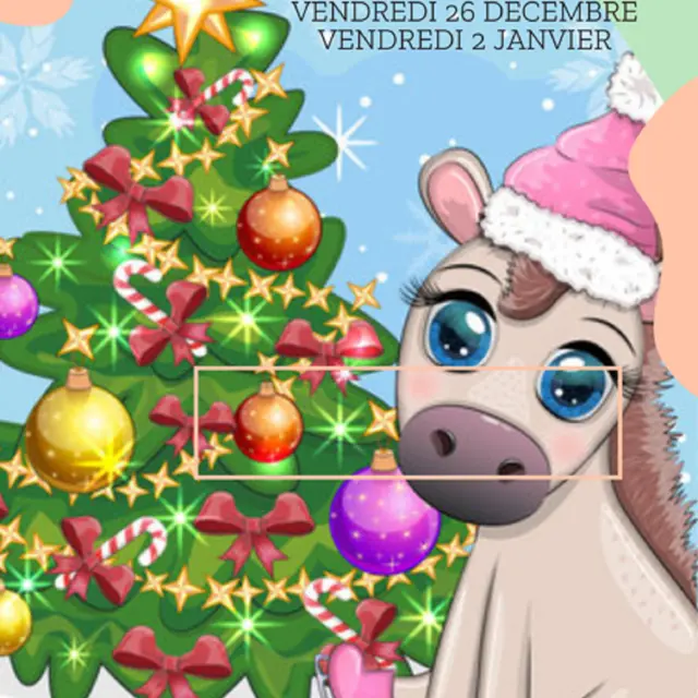 Stage de Noël autour des poneys spécial enfants de 4 à 11 ans_Sospel