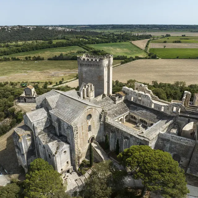 Abbaye de Montmajour