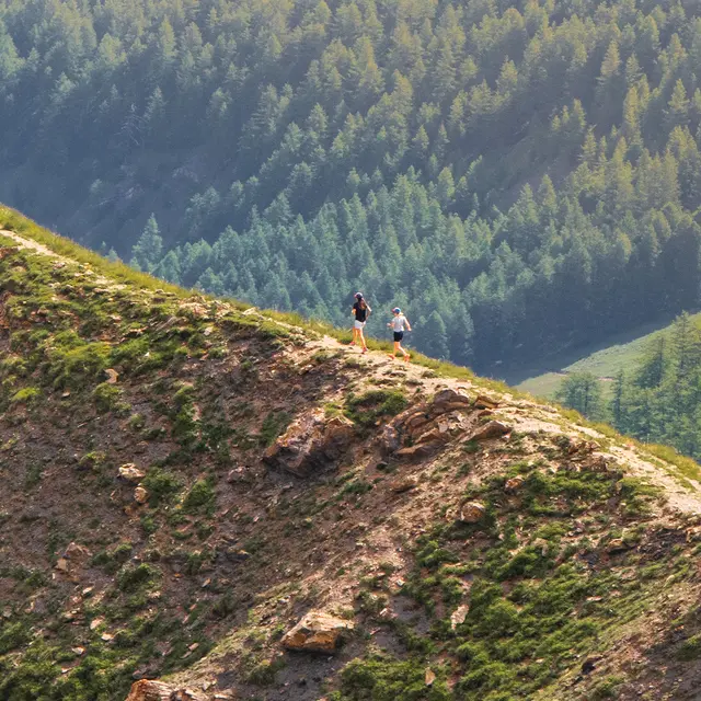 Parcours Trail - La Méa Découverte