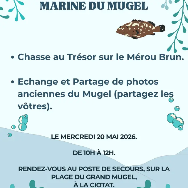 Chasse au trésor sur le mérou brun_La Ciotat