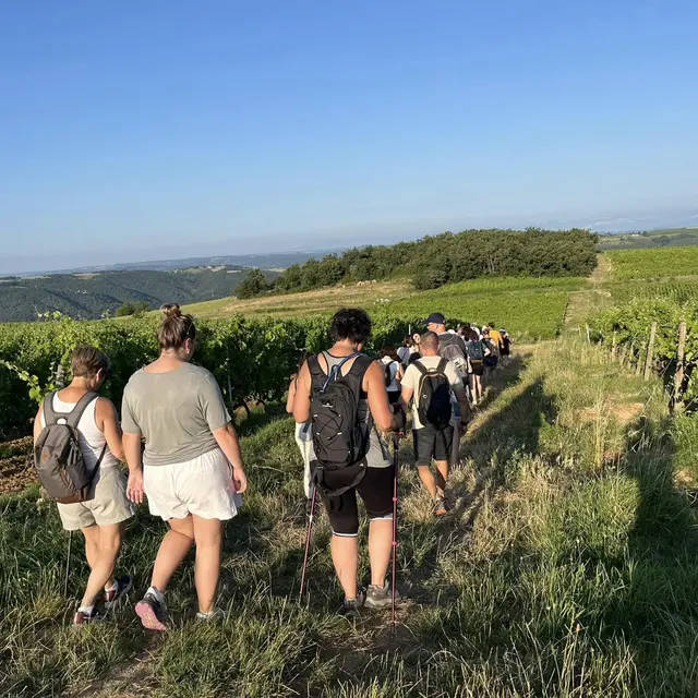 Rando wine (domaine L. Bertrand)_Ozon