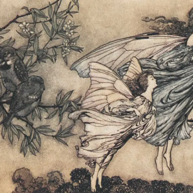 Apprentis sorciers / sorcières au Château à motte