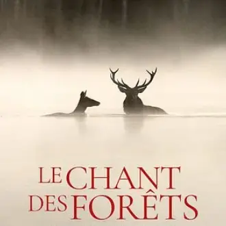 Cinéma itinérant : La petite dernière_Saint-Didier