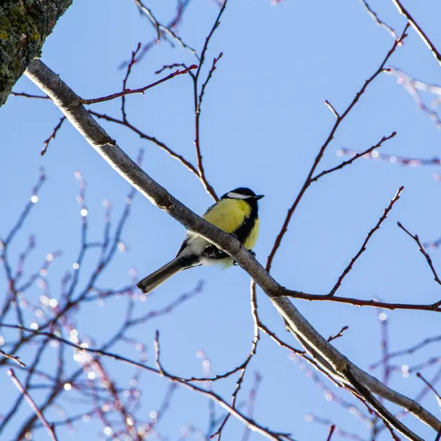 Fête de la nature_Mont-Dauphin