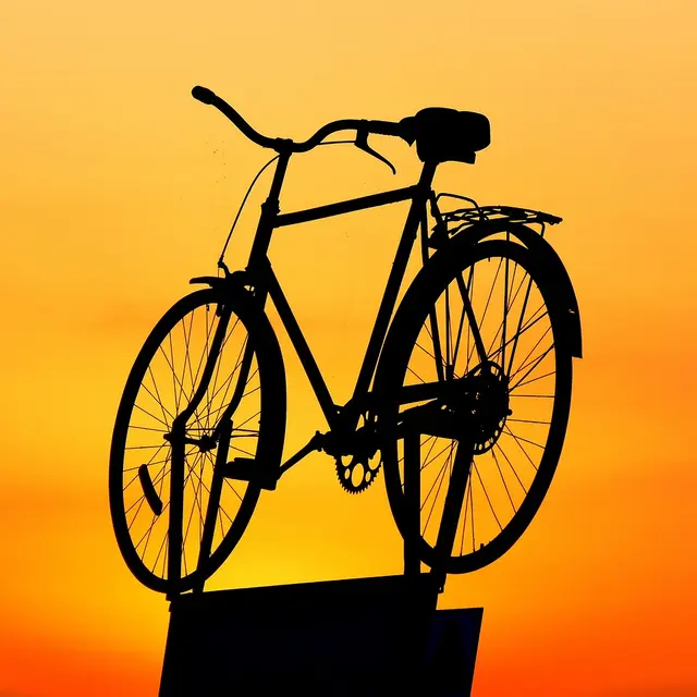 Atelier d'auto réparation vélo_Noirétable