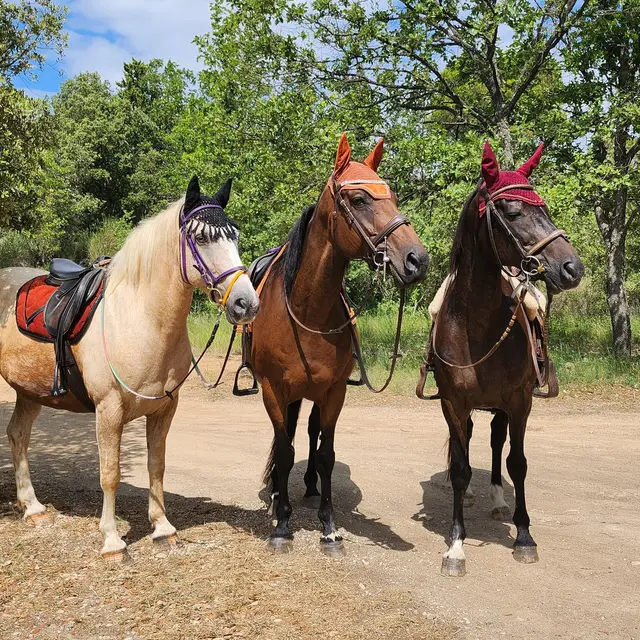 La cabane aux chevaux - Varages