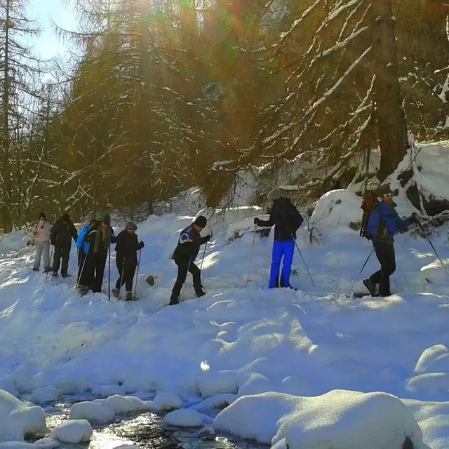 Sorties en raquettes