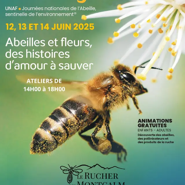 Les Apidays_Auzat