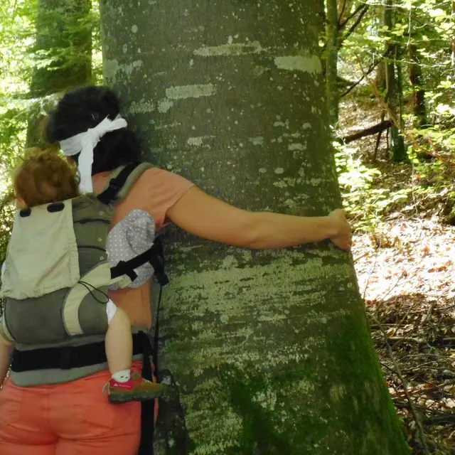 Bain de forêt_Saint-François-de-Sales