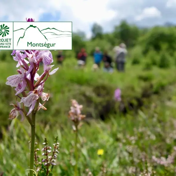 Festi'Flora_Montségur