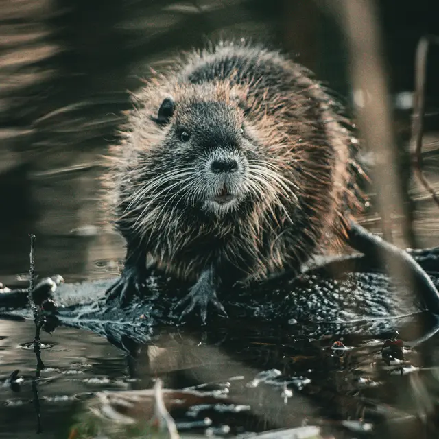 Rencontre au bord de l'eau_Cassagnas