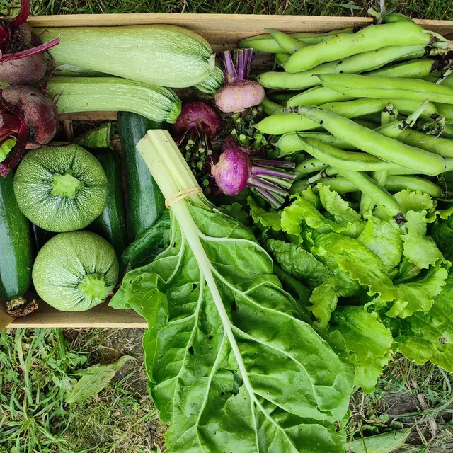 Le Jardin de 13 vents