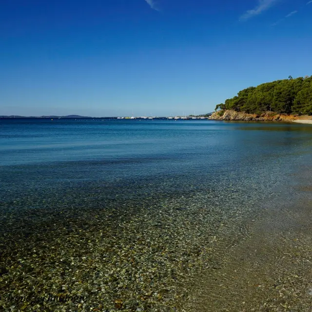 Plage du Pellegrin