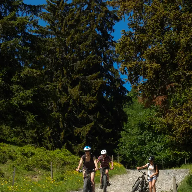 Col du Drayon