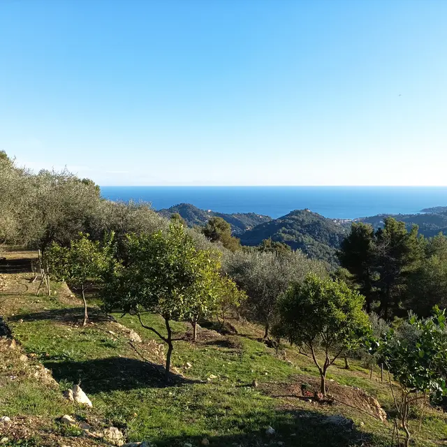 La Corniche du Paradis