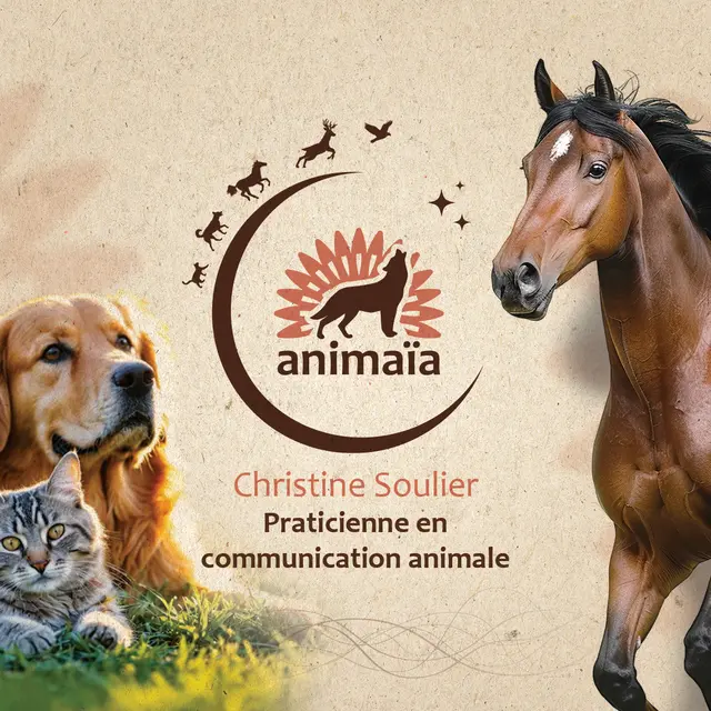 animaia