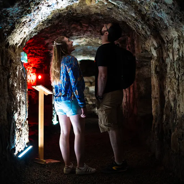 Visite guidée • Souterrains de Cusset_Cusset