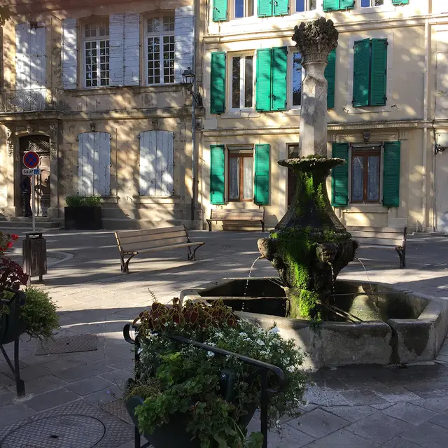 Fontaine Moussue au coeur de ville