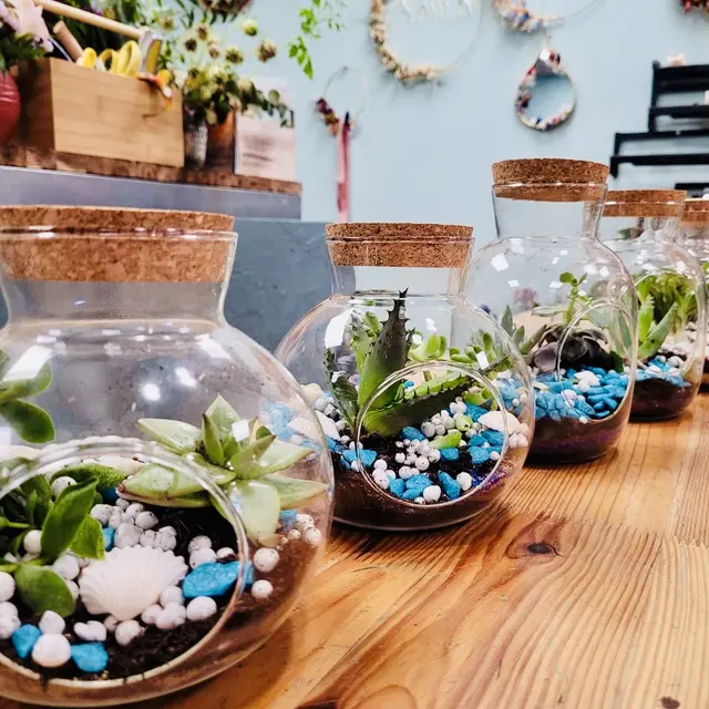 terrarium
