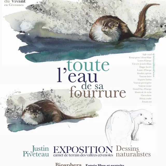 Exposition -Toute l'eau de sa fourrure_Cendras
