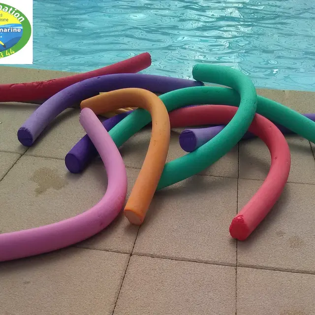 Natation / Sauvetage / Sécurité aquatique_Publier