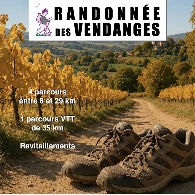 affiche randonnée des vendanges