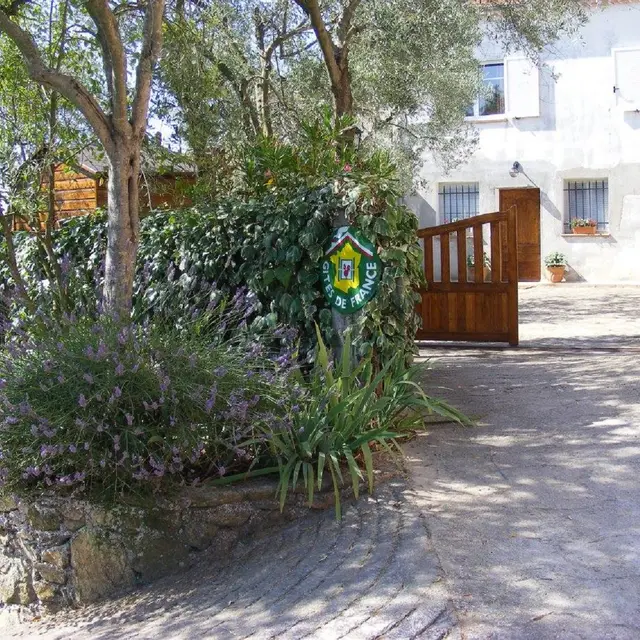 Camping Bosi