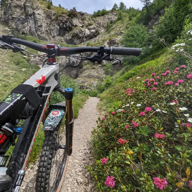 Montée VTT au col de l'escalier