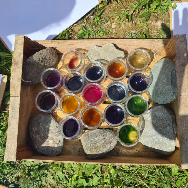 Atelier encres végétales Les artistes en herbe_Les Saisies