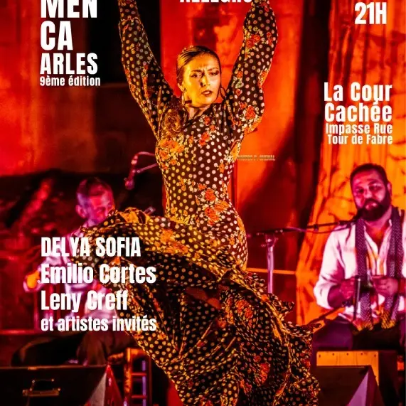 Spectacle Flamenco Allegro_Arles