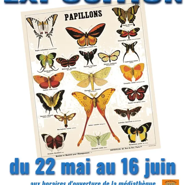 Expo papillons