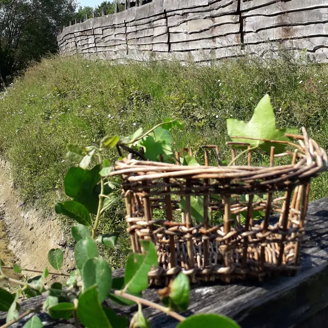 Atelier vannerie sauvage au Château à motte