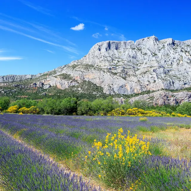 Balade apprenante au Grand Site Sainte-Victoire_Saint-Antonin-sur-Bayon