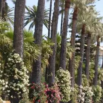 Balade botanique