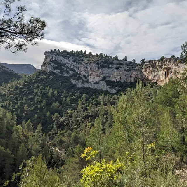 1/2 Journée - Randonnée A la tombée de la nuit - Auriol_Auriol