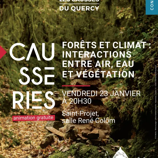 FORÊTS ET CLIMAT Interactions entre air, eau et végétation