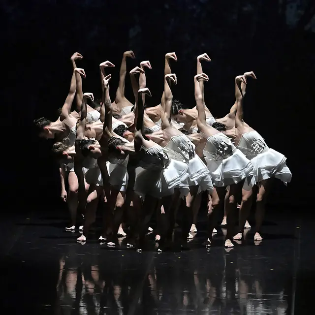 Ballet Preljocaj - Le Lac des cygnes