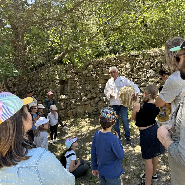 Découverte des abeilles de la Font de Mai - 1/2 journée_Aubagne