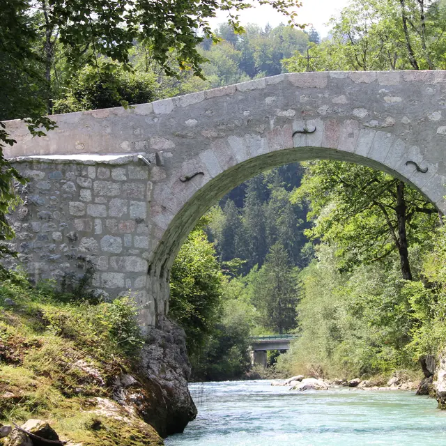 Journées Européennes du Patrimoine : Le pont d'Evian - de Bioge_Féternes