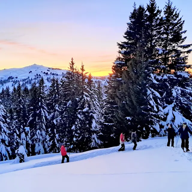 Randonnée crépuscule en raquettes à la savoyarde_Les Saisies
